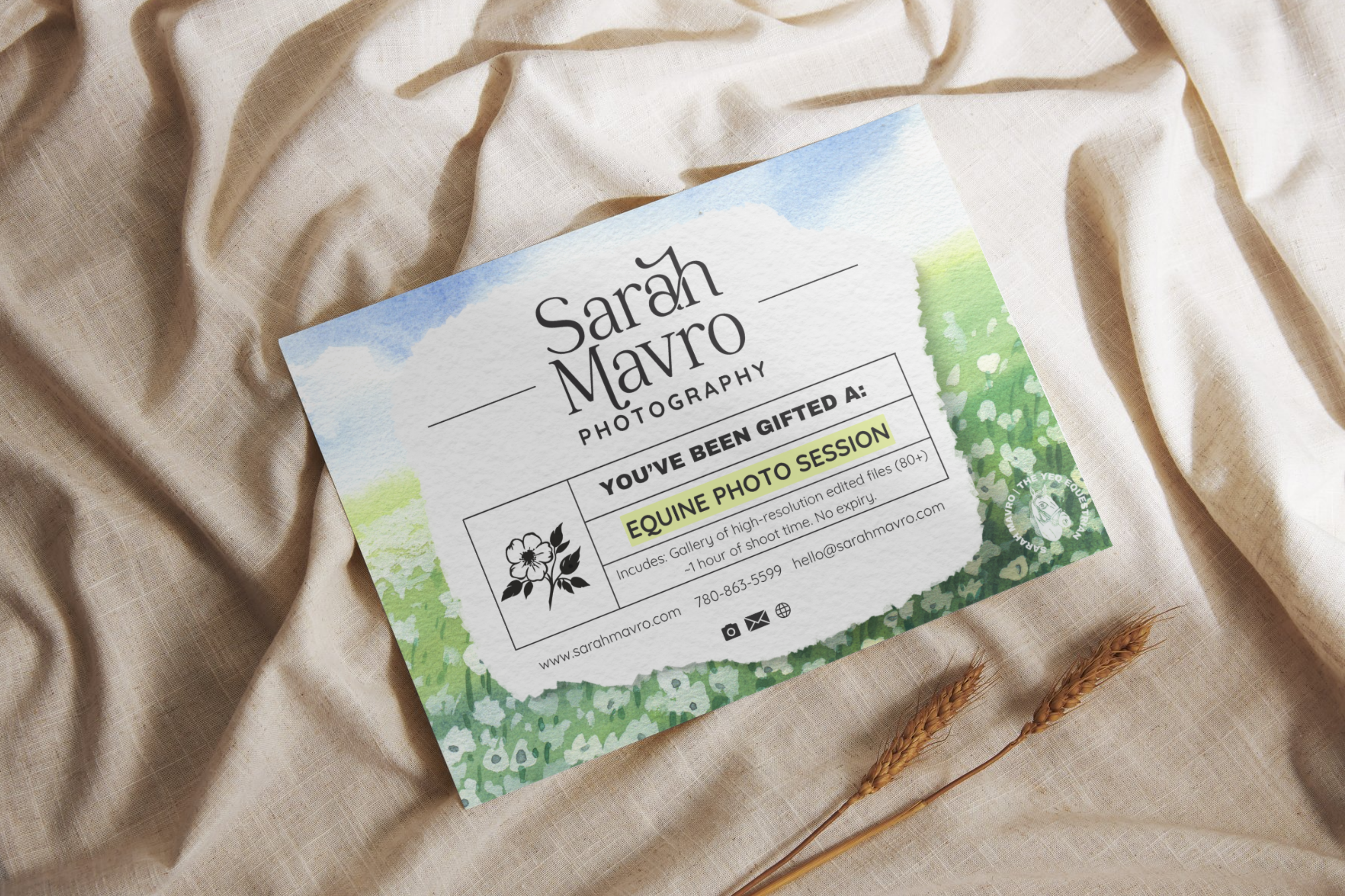 Equine Session Giftcard